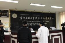 贵阳婴儿男变女事件鉴定结果出炉:是亲生的,然而…