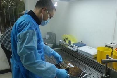 西南医大司法鉴定中心十年鉴定超3万件案件 案源来自19个省市自治区