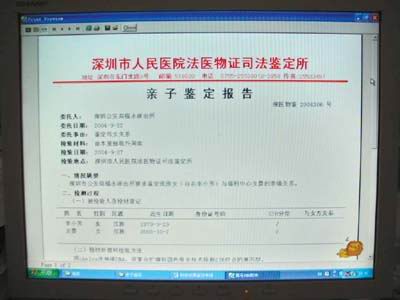 深圳亲子鉴定全国最火 婚前性生活是主因(图)-新闻中心