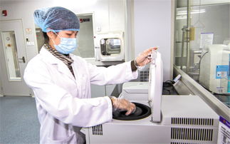 司法鉴定申请书格式是怎样的