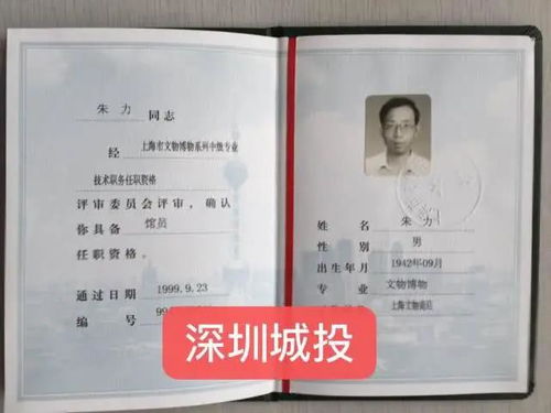 深圳城投拍卖公司,公正原则,权威专业责任制鉴定评审