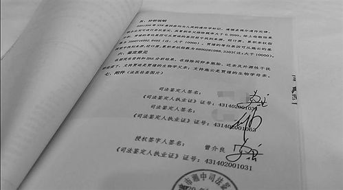 假名假指纹假血样鉴定成 亲子关系