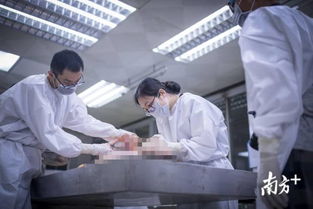 女法医岳霞 用解剖刀与尸体交谈,让真相不因死亡而湮灭