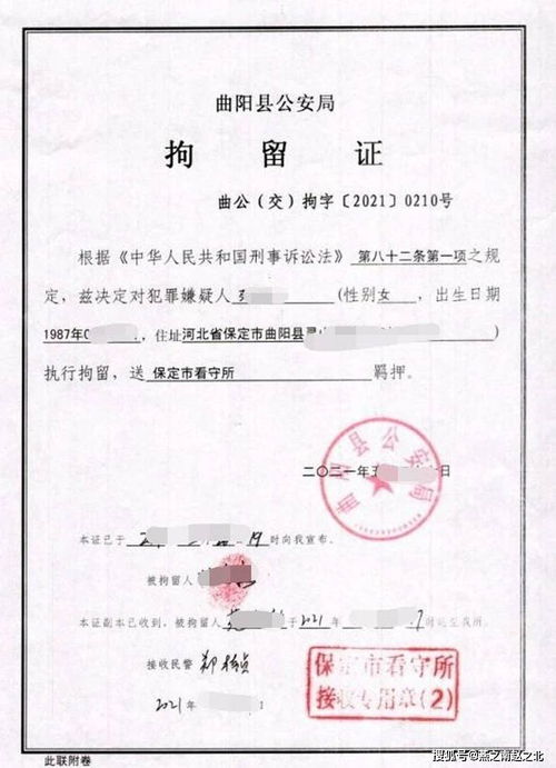 保定一女子开车撞人耍横 我有全险 系醉驾还想找顶包,结局舒适