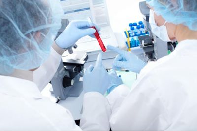 周口医院亲子鉴定服务详解