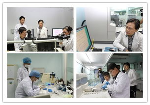 国家级司法鉴定机构建设促进会顺利召开，法医司法鉴定成为焦点