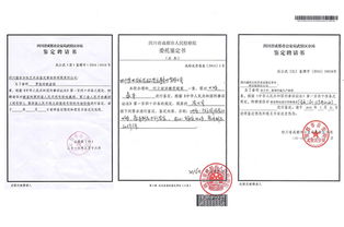 九宫格营销 中小企业网络推广与法医司法鉴定的创新融合